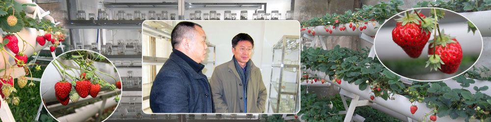 beats365中文官网——草莓基地