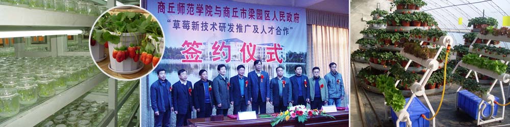 beats365中文官网——新技术研发与推广